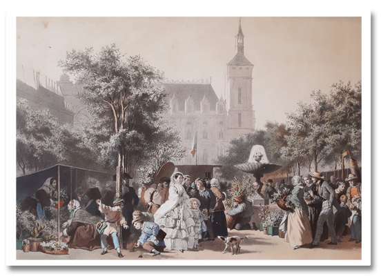 paris, quai aux fleurs, frick freres, gilbert, physionomies de paris, 1856, travaux, ile de la cité, chromolithographie, marché aux fleurs